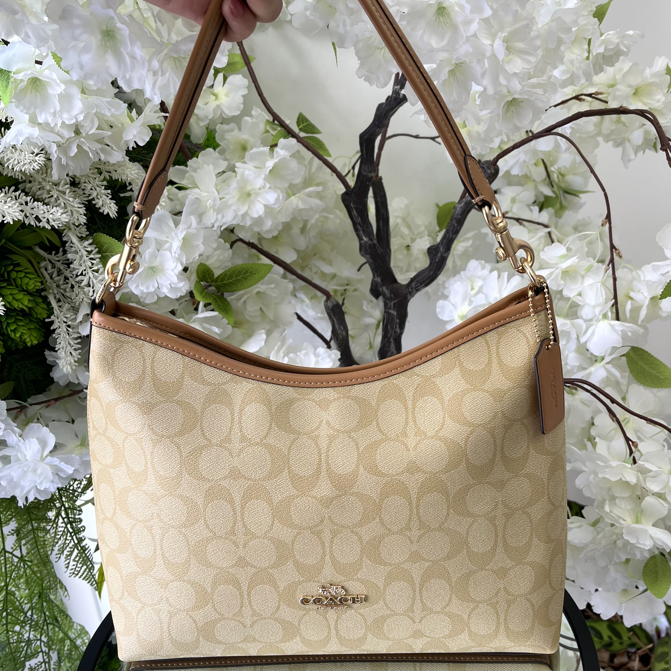 COACH-81